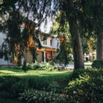 Invest Like a Pro: Real Estate Tips