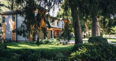 Invest Like a Pro: Real Estate Tips
