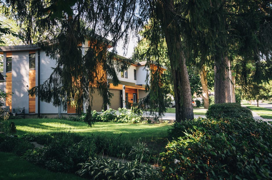 Invest Like a Pro: Real Estate Tips